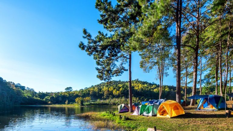 ¿Qué tipo de contaminación hay en los campings?